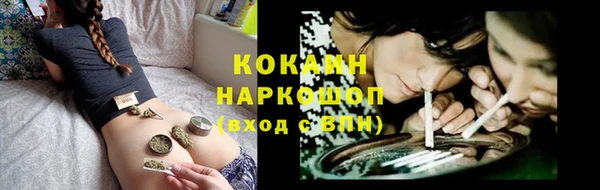 a pvp Ельня