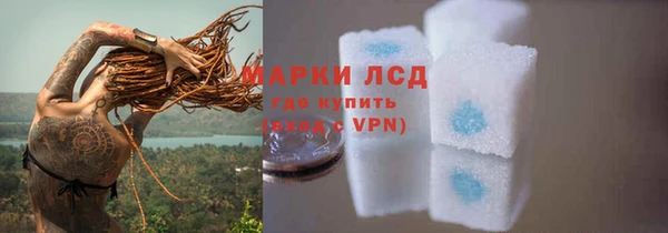 дмт Елизово