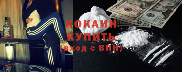 a pvp Ельня