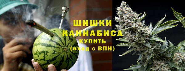 гидра Иноземцево