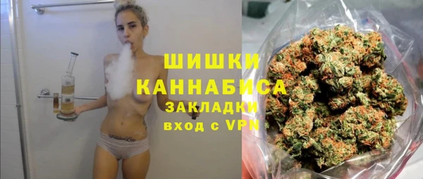 a pvp Ельня